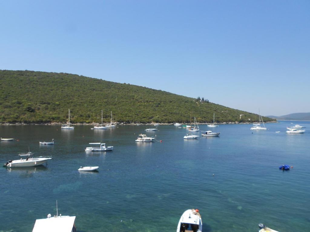 Apartments Vila Lazarevic Tivat Kültér fotó